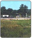 Landfill Gas Production